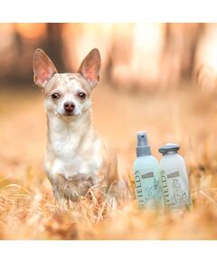 Greenfields set completo di shampoo e spray per cani 2x250 ml