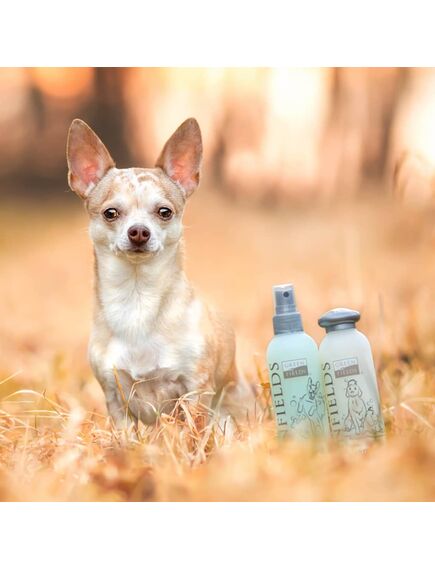 Greenfields set completo di shampoo e spray per cani 2x250 ml